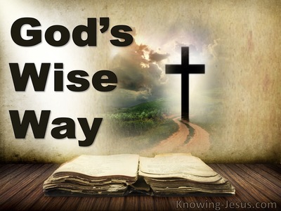 God's Wise Way (devotional)04-03 (brown)